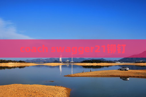 coach swagger21铆钉